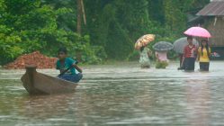 Paroles de producteurs, changement climatique